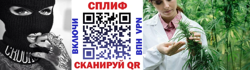 МЕФ Колпашево
