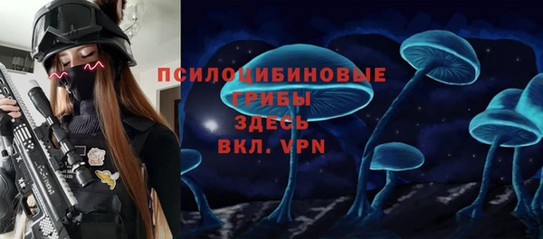 гидра Богданович