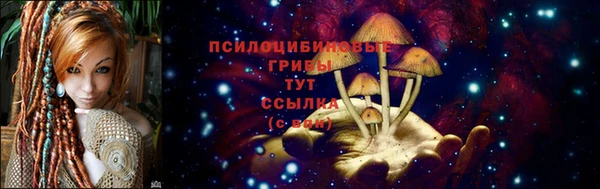 гидра Богданович