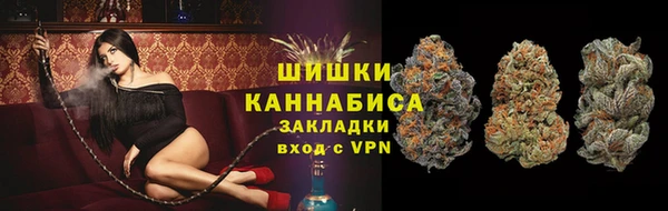 гидра Богданович