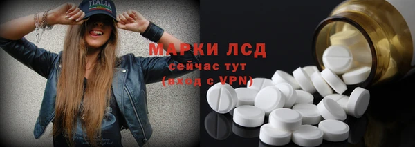 гидра Богданович