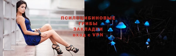 гидра Богданович