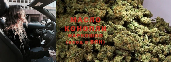гидра Богданович