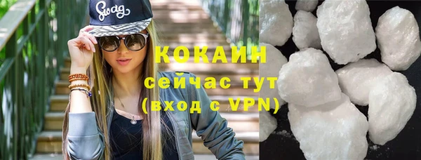 гидра Богданович